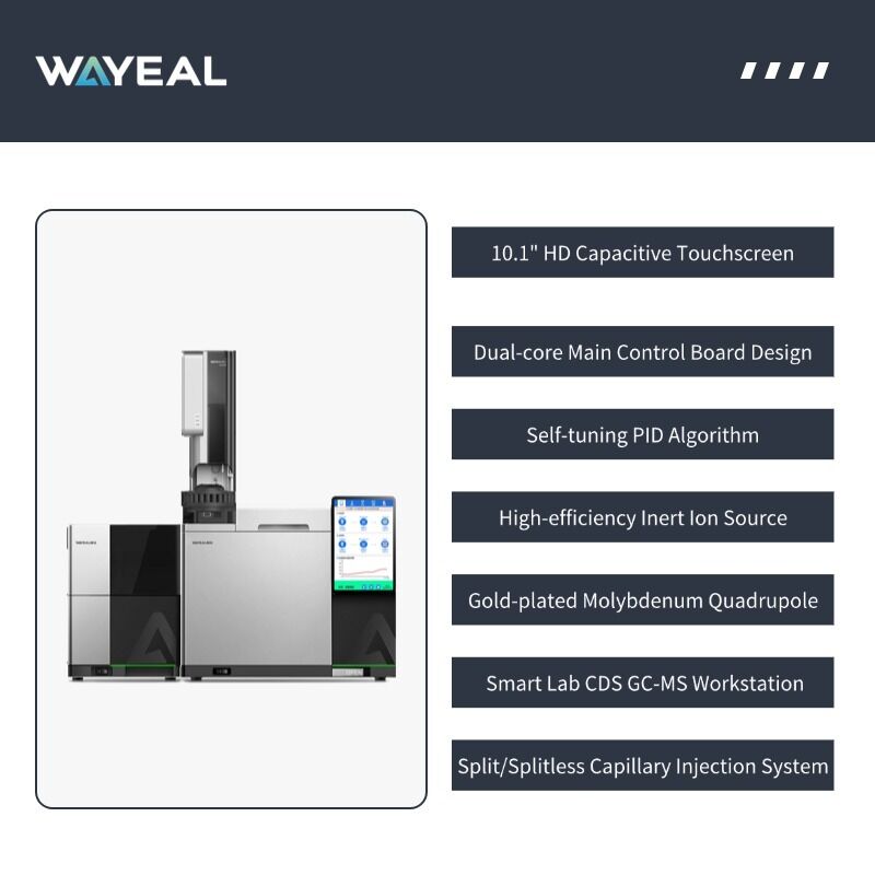 Sistema de cromatografía de gases y espectrometría de masas GM6100 de marca china con 16 puertos de inyección